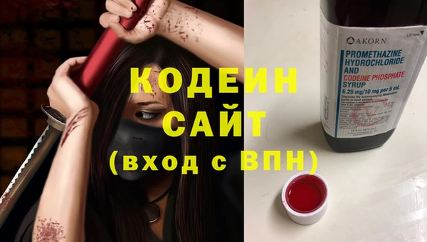 ешки Дмитриев