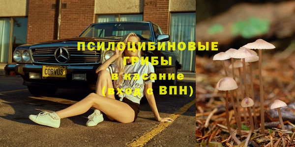 герыч Дмитровск